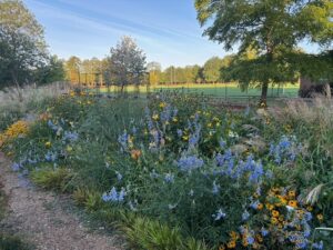 Gardens, St Hilda's College, Oxford